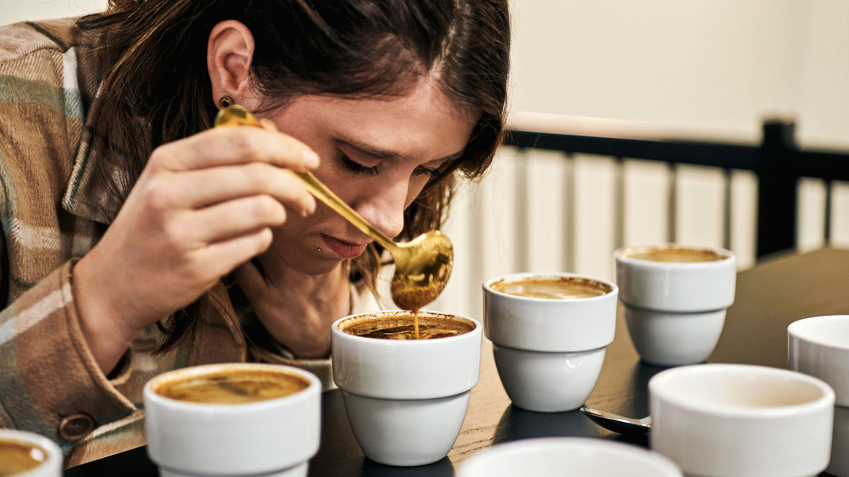Cupping à l'atelier du torréfacteur de café 94 celcius