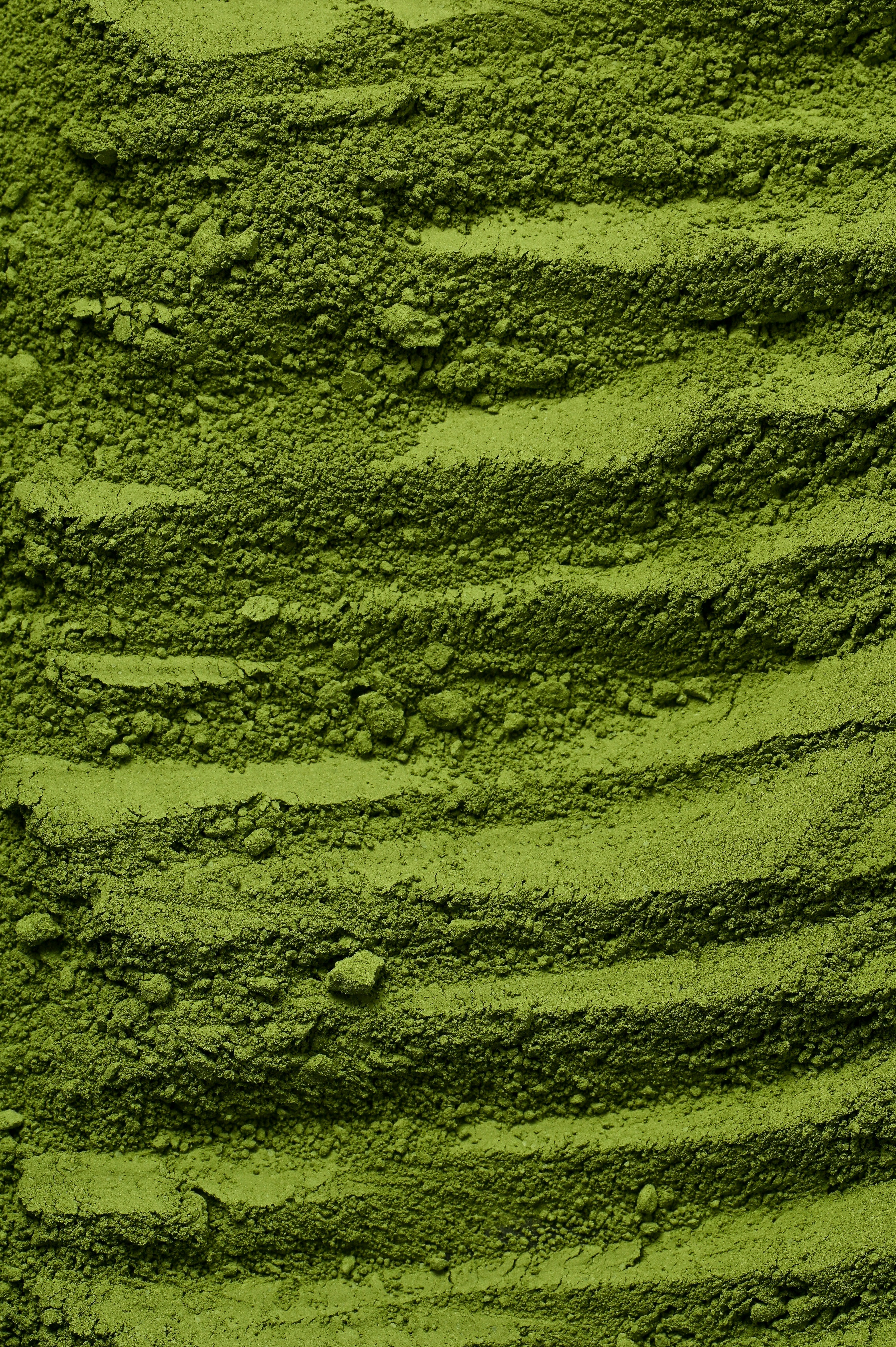 Matcha japonais d’exception