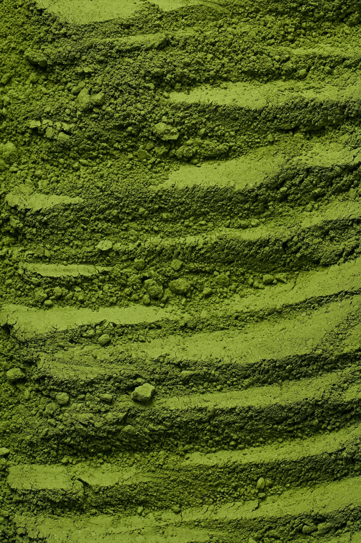 Matcha japonais d’exception