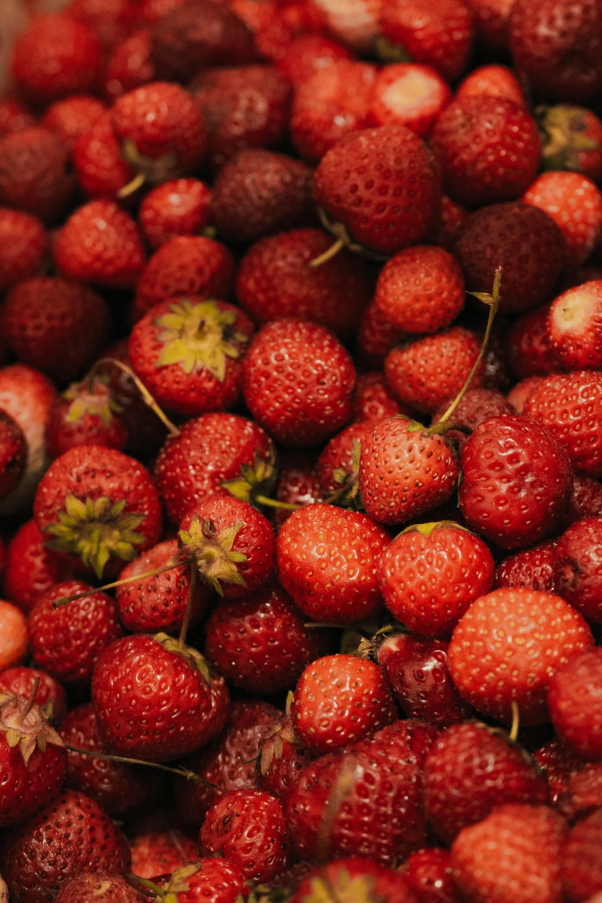 Café Cofermenté