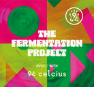 James Hoffmann fermentation project