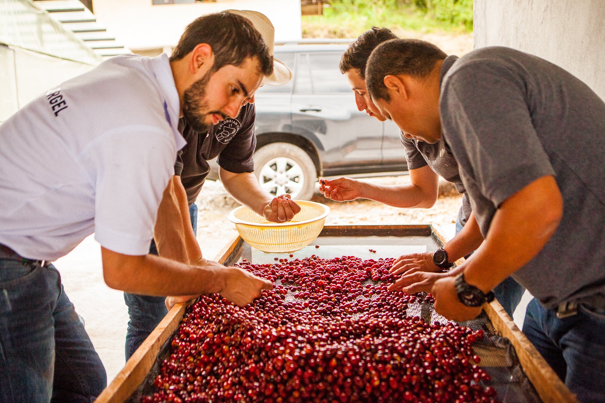 Elias et Shady Bayters - coffee cherry cerise de café - for the best decaf